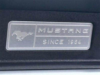 2017 Ford Mustang EcoBoost